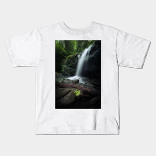 Waterfall and fern in forest Kids T-Shirt